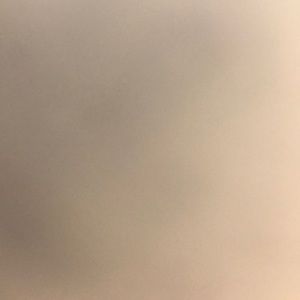 Meet your Posher, Molly